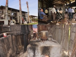 Haiti - Agriculture : The Government is addressing the issues of the sugarcane sector