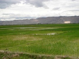 Haiti - Agriculture : Towards a better management of water in the Artibonite basin
