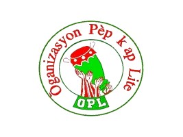Haiti - Politic : OPL position facing the new political situation