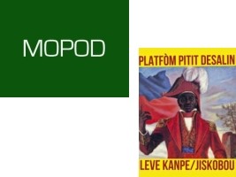 Haiti - Elections : Nearly 200 parties and political formations registered !