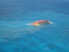 Haiti - Canada : Material for a clinic in the ocean