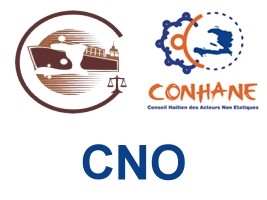 Haïti - Élections : Méthode de calcul contraire à la Constitution et au Décret électoral ?