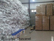 Haïti - Humanitaire : La Croix Rouge prête a affronter Tomas 