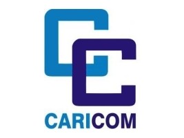 Haiti - Politic : The CARICOM calls for urgent resolution of the political crisis