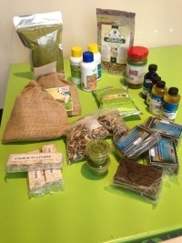 Haiti - Agriculture : Towards the exploitation of the full potential of Moringa