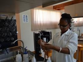 Haïti - Agriculture : Coopération avec 3 Universités américaines