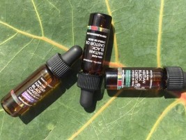 Haïti - Économie : Les produits de Kreyol Essence chez «Whole Foods Market» aux USA