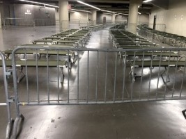 Haïti - Montréal : Près de 2,400 haïtiens demandeurs d’asile, le CECI appelle à l’aide