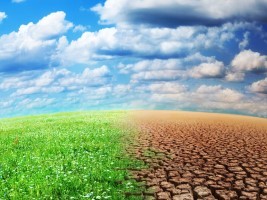 Haiti - Agriculture : Strengthening climate change, positive impacts