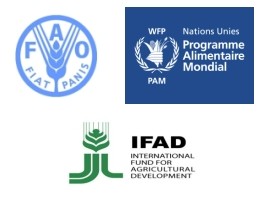 Haïti - Humanitaire : 3 agences onusiennes s’unissent en vue d'éradiquer la faim