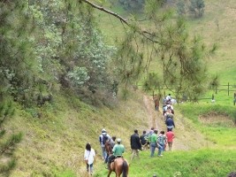 Haiti - FLASH : Spoliation operations in an ecological reserve in Kenscoff