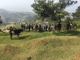 Haiti - Environment : The ecological reserve of Wynn Farm under the protection of the BSAP