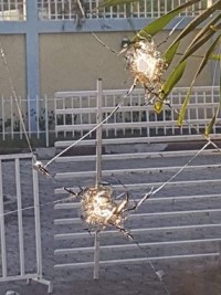 Haiti - FLASH : True attack of Parliament or staging ?