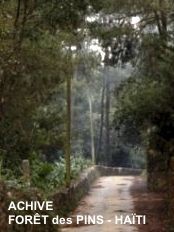 Haiti - Environment : Project of linear park between Dajabon and Ouanaminthe