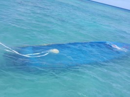 Haiti - Shipwreck : End of the search, 14 survivors 15 dead 4 missing