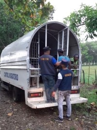 Haiti - DR : 9,014 Haitians deported or turned back in Haiti