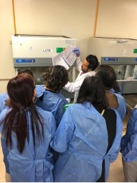 Haiti - Health : The Caribbean and Latin America trained in the detection of COVID-19