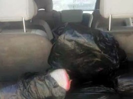 Haiti - Security : Seizure of more than 100 kg of marijuana in Belladère