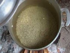 Haiti - Humanitarian : The Dominicans are helping the Haitian communities at the border