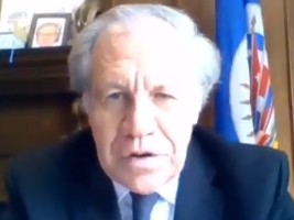 Haïti - Élections : Déclaration du Secrétariat général de l’OEA