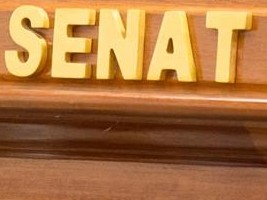 Haïti - FLASH : Le Sénat pourrait être aboli dans la nouvelle Constitution