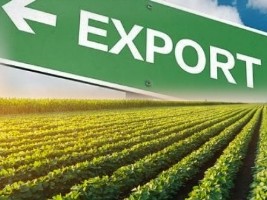 Haiti - Economy : Partial guarantee fund of one billion gourdes for agriculture and export