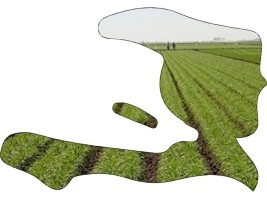 Haiti - Agriculture : Agricultural personalities of the year 2020, application open
