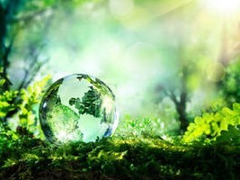 Haïti - AVIS : Appel à projets en faveur de l’environnement...