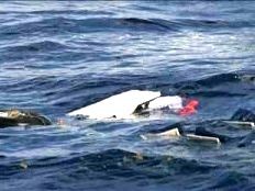 Haiti - Social : Shipwreck of Borgne-Anse, final toll