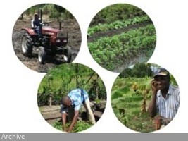 Haïti - Agriculture : Le manque d’accès aux intrants risque de compromettre les cultures de printemps