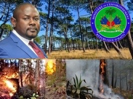 Haïti - Environnement : Premier bilan officiel des incendies de forêt (Vidéo)