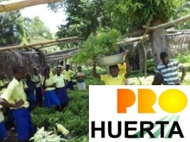 Haïti - ProHuerta : L’Argentine envoie une mission pour développer des jardins scolaires agroécologiques