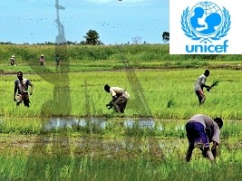 Haïti -  Insécurité : La violence des gangs s’intensifie dans l’Artibonite, grenier rizicole du pays