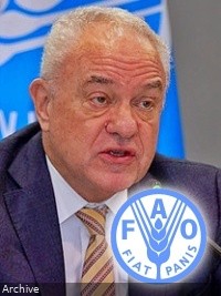 Haïti - Social : La FAO craint une nouvelle détérioration de l’insécurité alimentaire aiguë en Haït