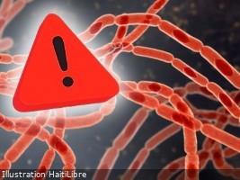 Haïti - Santé : Des présumés cas d’Anthrax en Haïti, déclenchent l’alerte sanitaire chez nos voisins dominicains