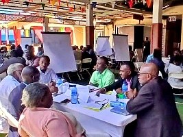 Haïti - Révision constitutionnelle : Les consultations nationales progressent