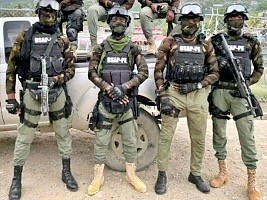 Haïti - Environnement : Des organisations écologiques préoccupées par l’utilisation de la BASP contre les gangs armés