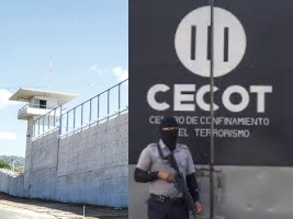 Haiti - FLASH : The USA will classify Haitian gangs as terrorists (video)