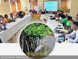 Haiti - Port-de-Paix : Towards integrated management of the Haut-Fourneau mangrove ecosystem