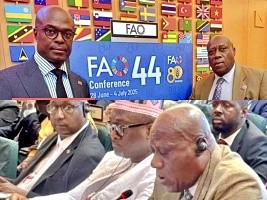 Haiti - Italy : Minister Vernet Joseph in the 44th plenary conference of FAO