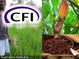 Haiti - Agro-industry : Between dependence and food sovereignty