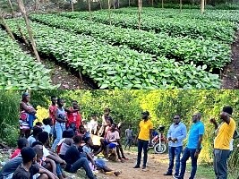 Haiti - Environment : Youth, agro-ecology and green jobs