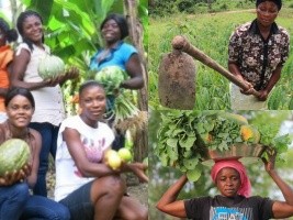 Haïti - Agriculture : Plus de 70% des agriculteurs en Haïti sont des femmes