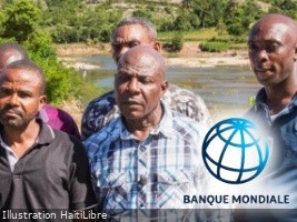 Haïti - Agriculture : Impacts positifs de la Banque Mondial sur l’agriculture haïtienne