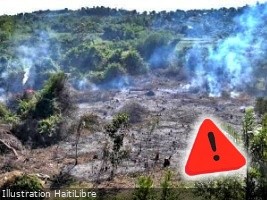 FLASH : An arson destroys the Botanical Garden of Les Cayes