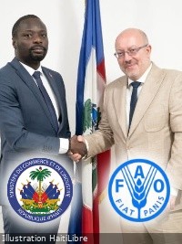 Agriculture : La FAO prête à accompagner le développement de filières alimentaires en Haïti