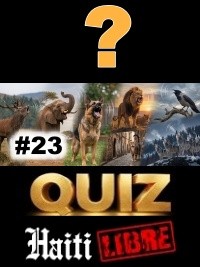 Haïti - Loisirs : Le Saviez-vous ? #23