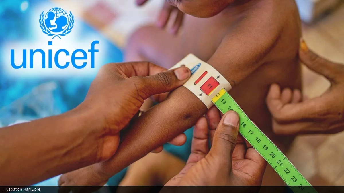 Haïti - FLASH : Vers une situation critique de la malnutrition infantile en Haïti, entre décembre 2026 et mai 2027