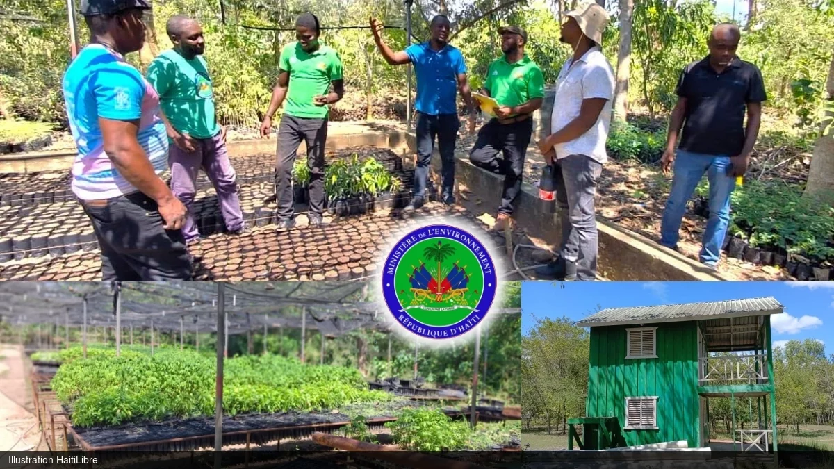 Haïti - Environnement : Renforcer la résilience climatique et restaurer les écosystèmes dégradés