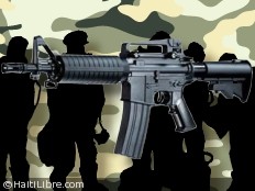 Haiti - Security : The Minister of the Interior gives a delay of 15 days